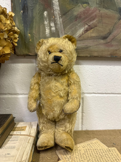 Vintage Mohair Teddy Bear
