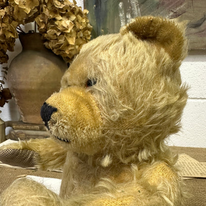 Vintage Mohair Teddy Bear