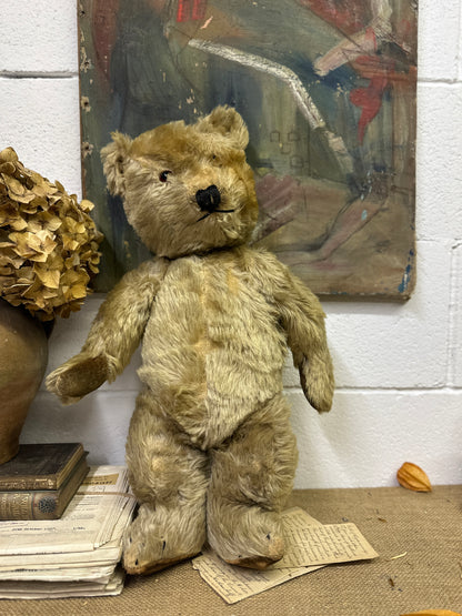 Large Vintage Teddy Bear