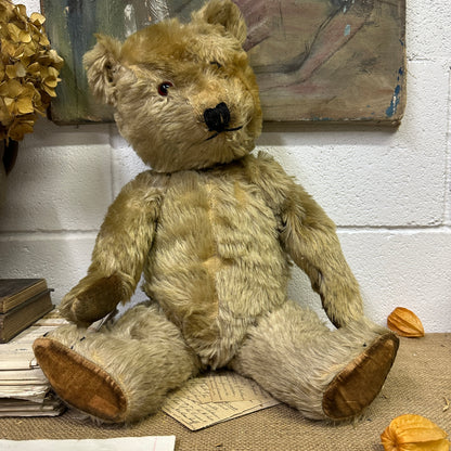 Large Vintage Teddy Bear