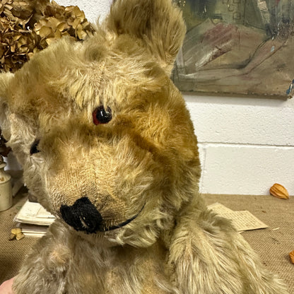 Large Vintage Teddy Bear