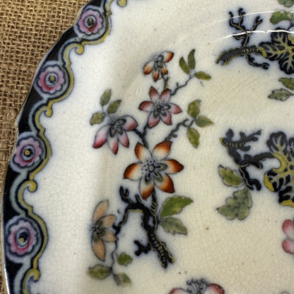 Victorian Charles Meigh & Son Plates Oriental Blossoms