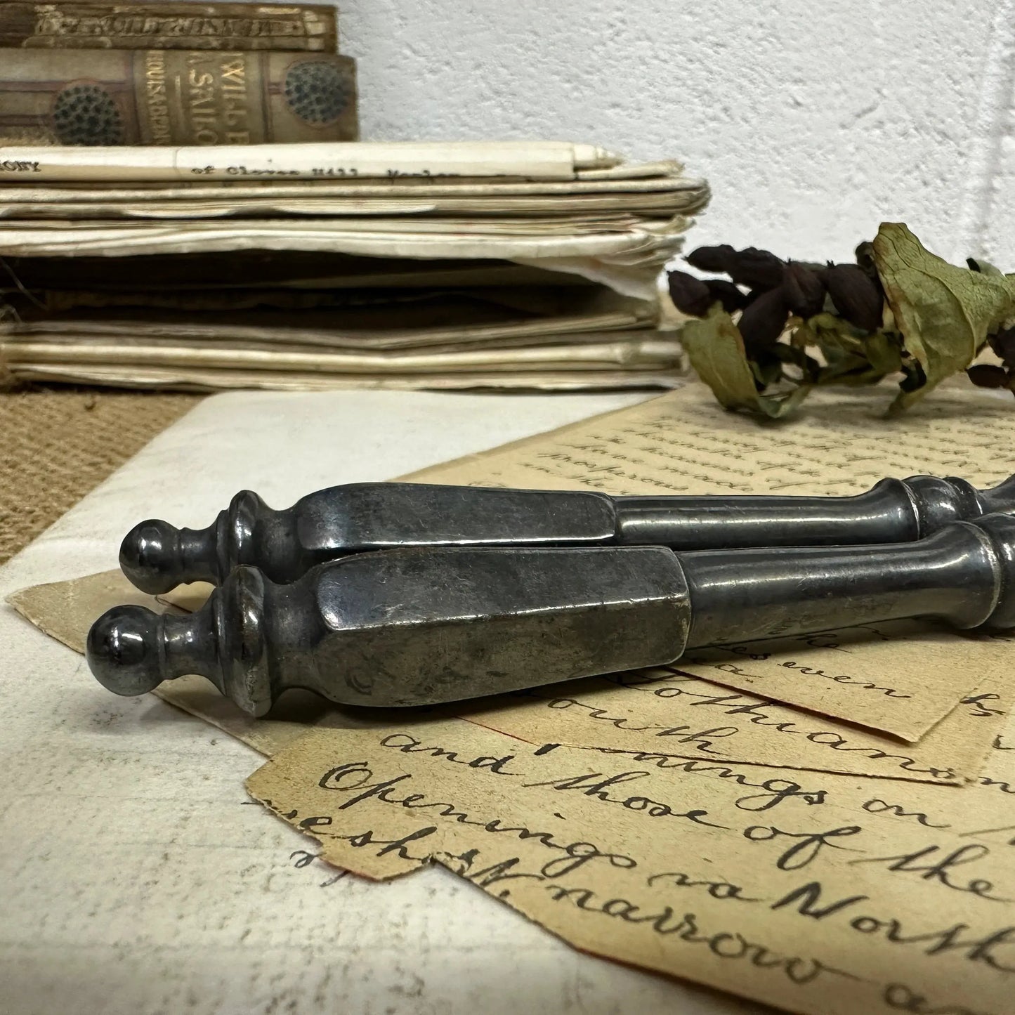 Antique Metal Nutcracker - The Blind Mole