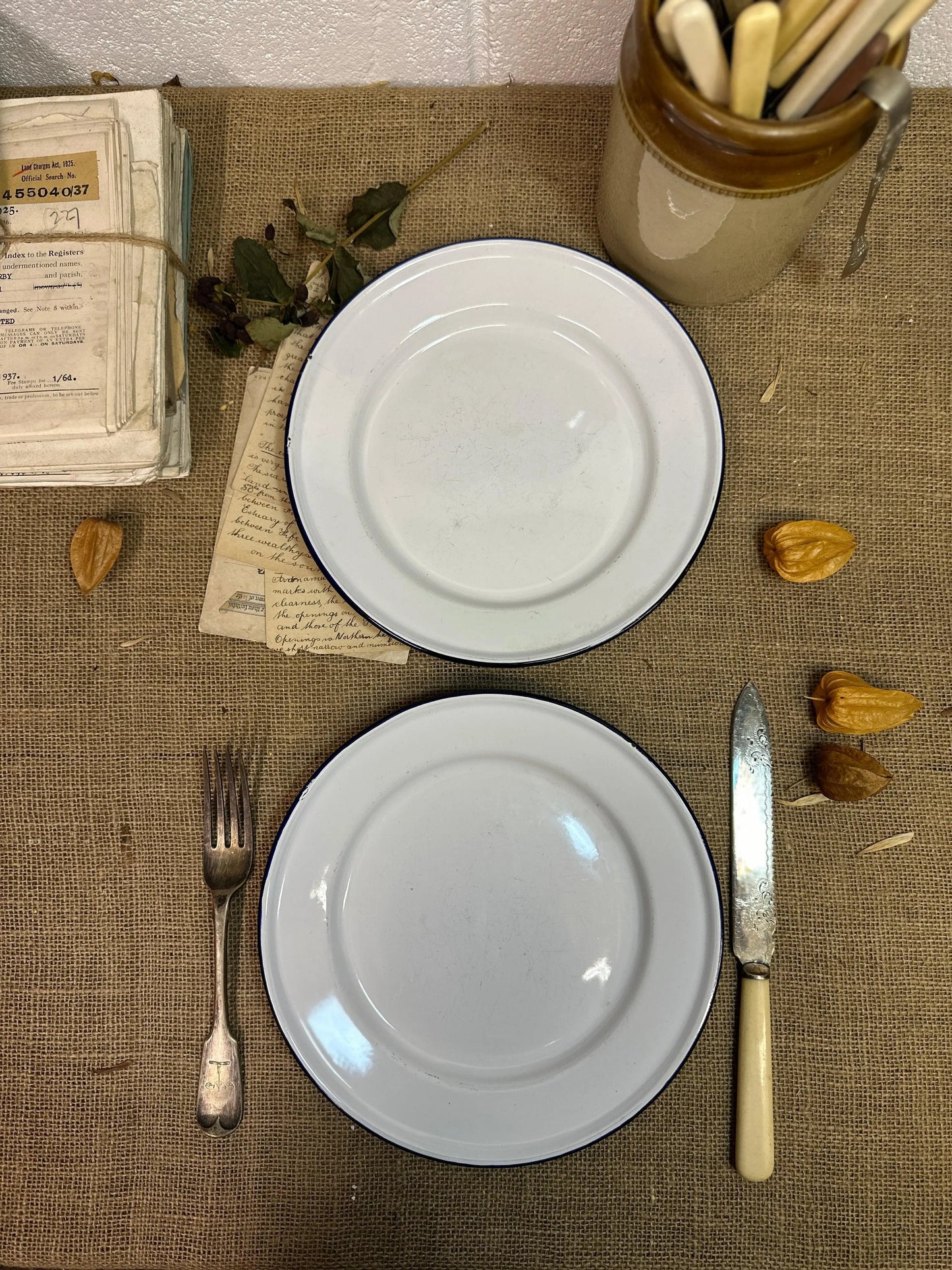 Enamel White & Blue Plates 24cm Pair - The Blind Mole