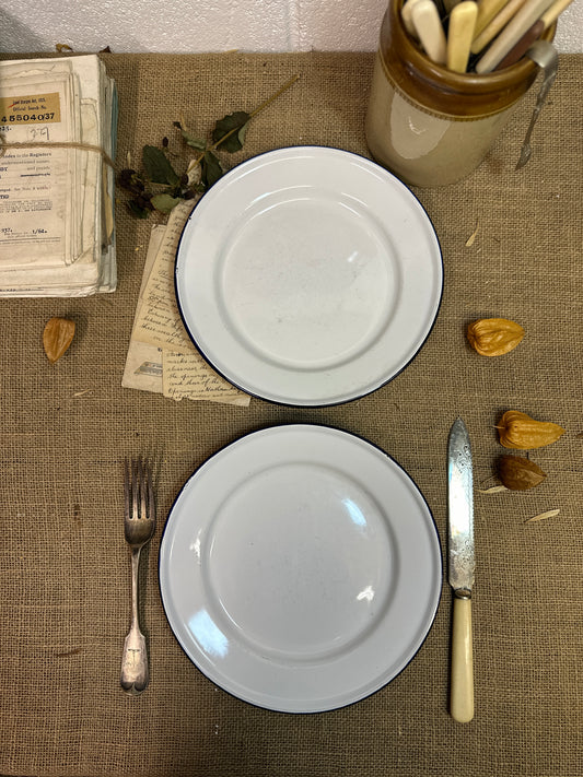 Enamel White & Blue Plates 24cm Pair