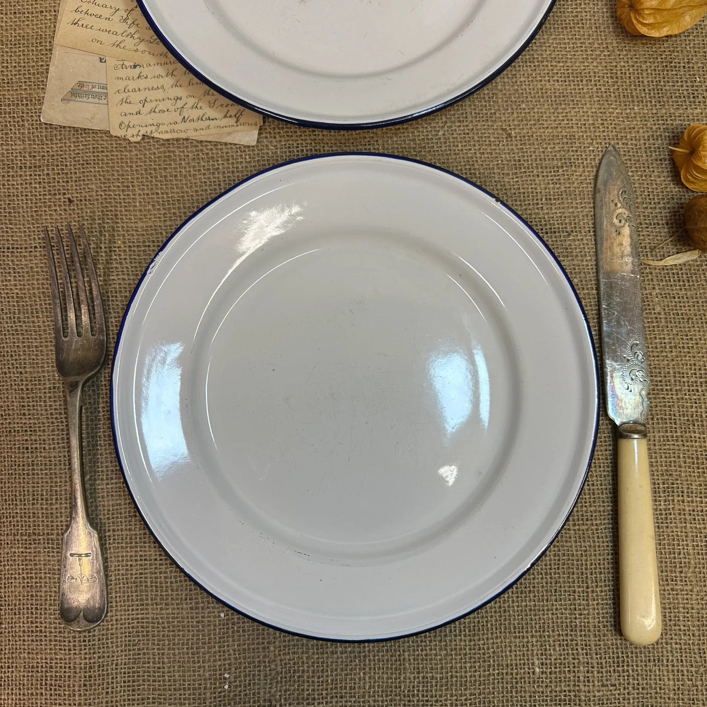 Enamel White & Blue Plates 24cm Pair - The Blind Mole