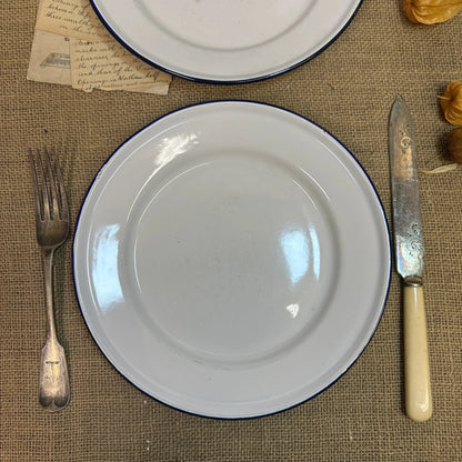 Enamel White & Blue Plates 24cm Pair - The Blind Mole
