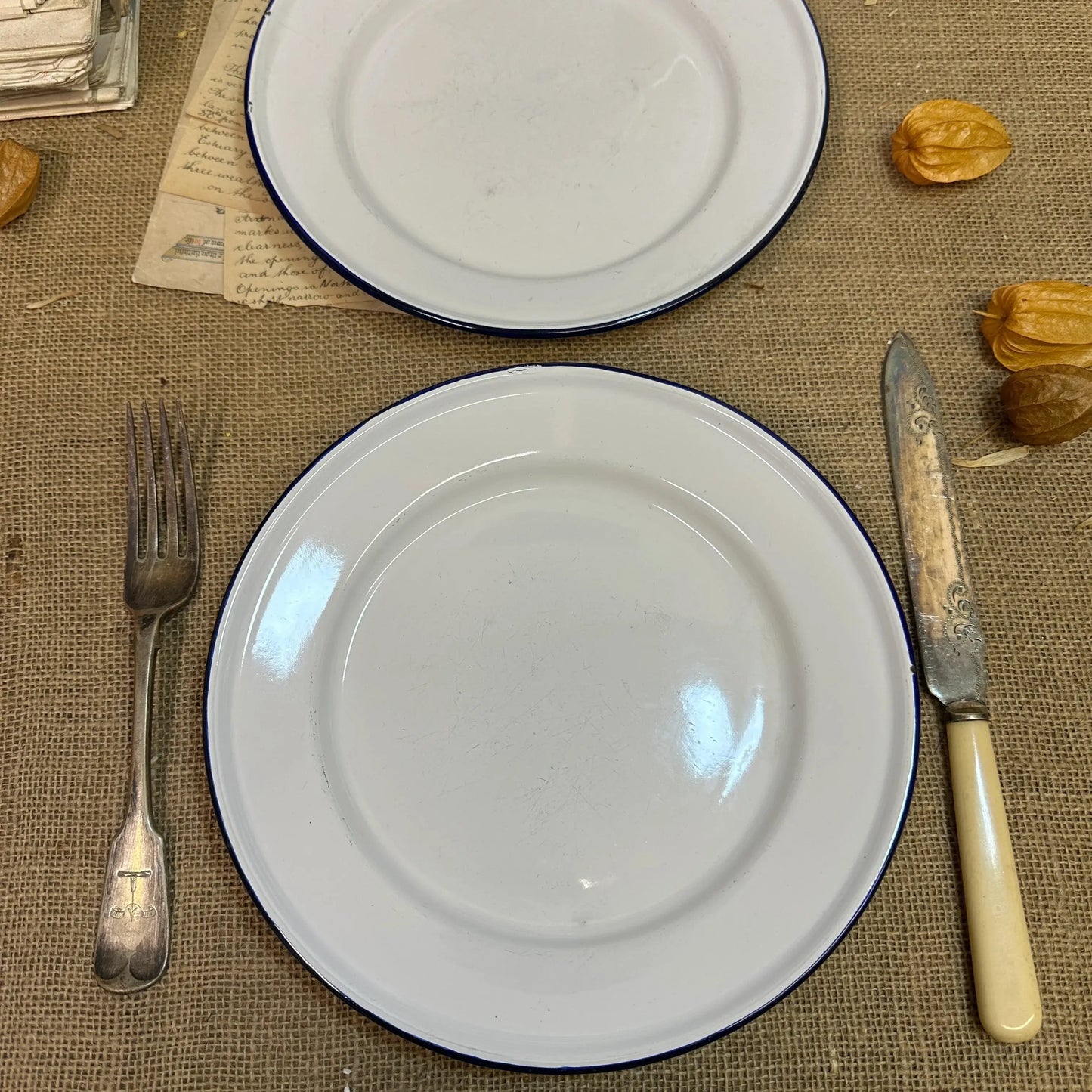 Enamel White & Blue Plates 24cm Pair - The Blind Mole