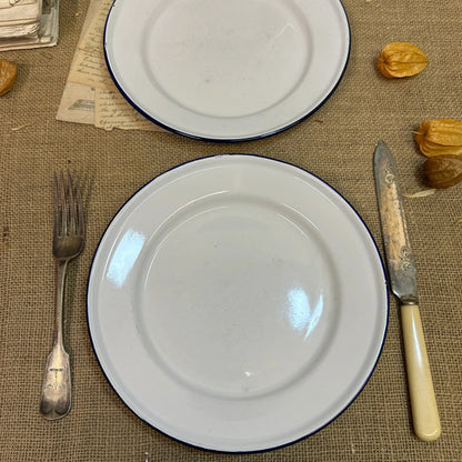 Enamel White & Blue Plates 24cm Pair - The Blind Mole