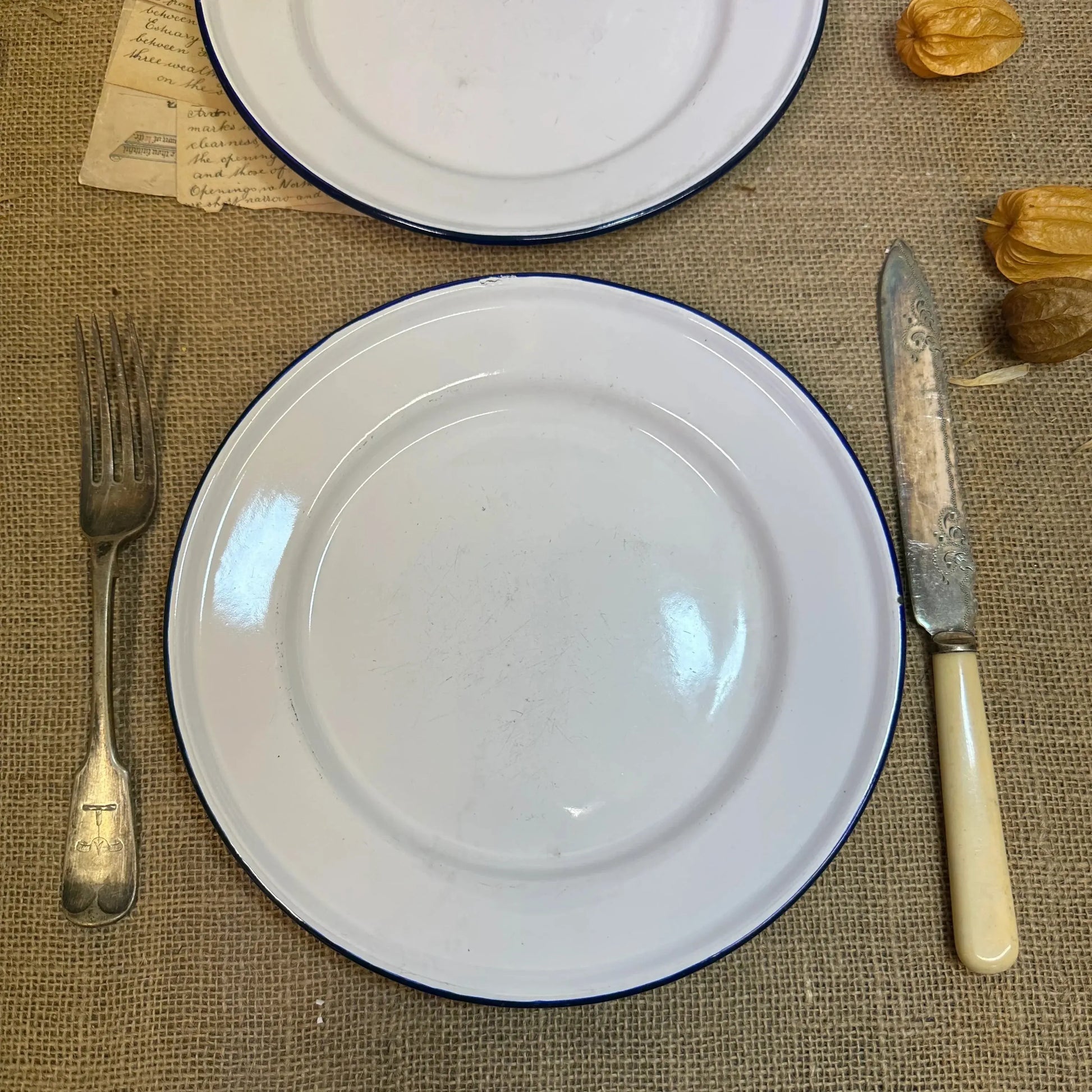 Enamel White & Blue Plates 24cm Pair - The Blind Mole