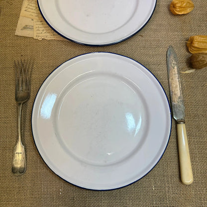 Enamel White & Blue Plates 24cm Pair - The Blind Mole