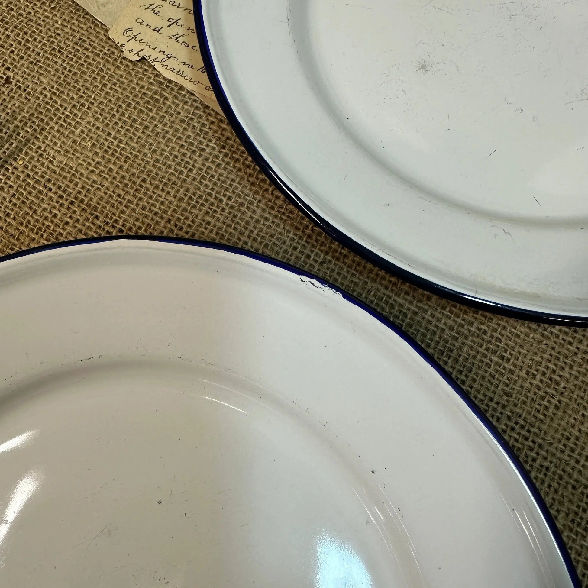 Enamel White & Blue Plates 24cm Pair - The Blind Mole