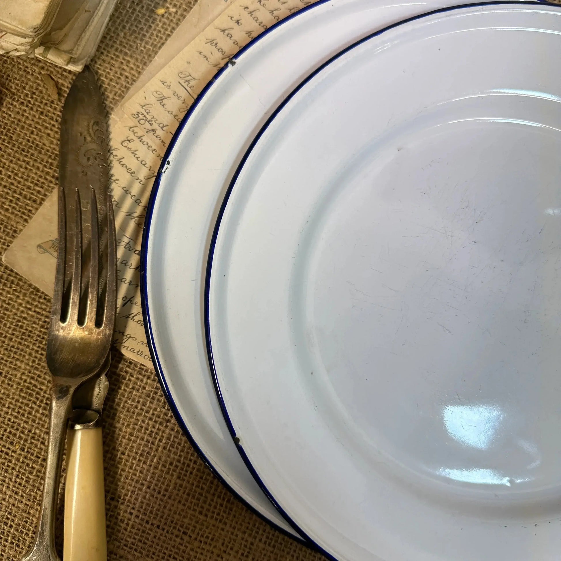 Enamel White & Blue Plates 24cm Pair - The Blind Mole