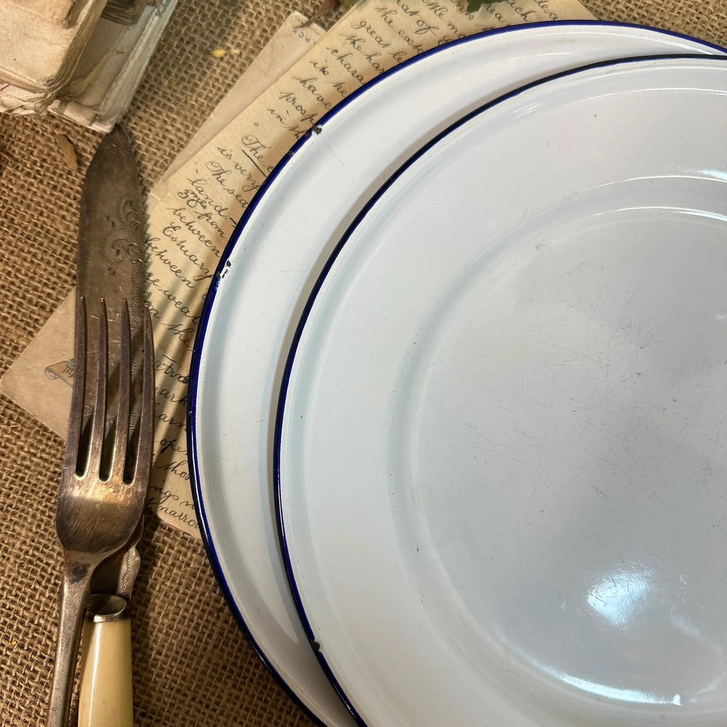 Enamel White & Blue Plates 24cm Pair - The Blind Mole