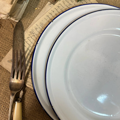 Enamel White & Blue Plates 24cm Pair - The Blind Mole
