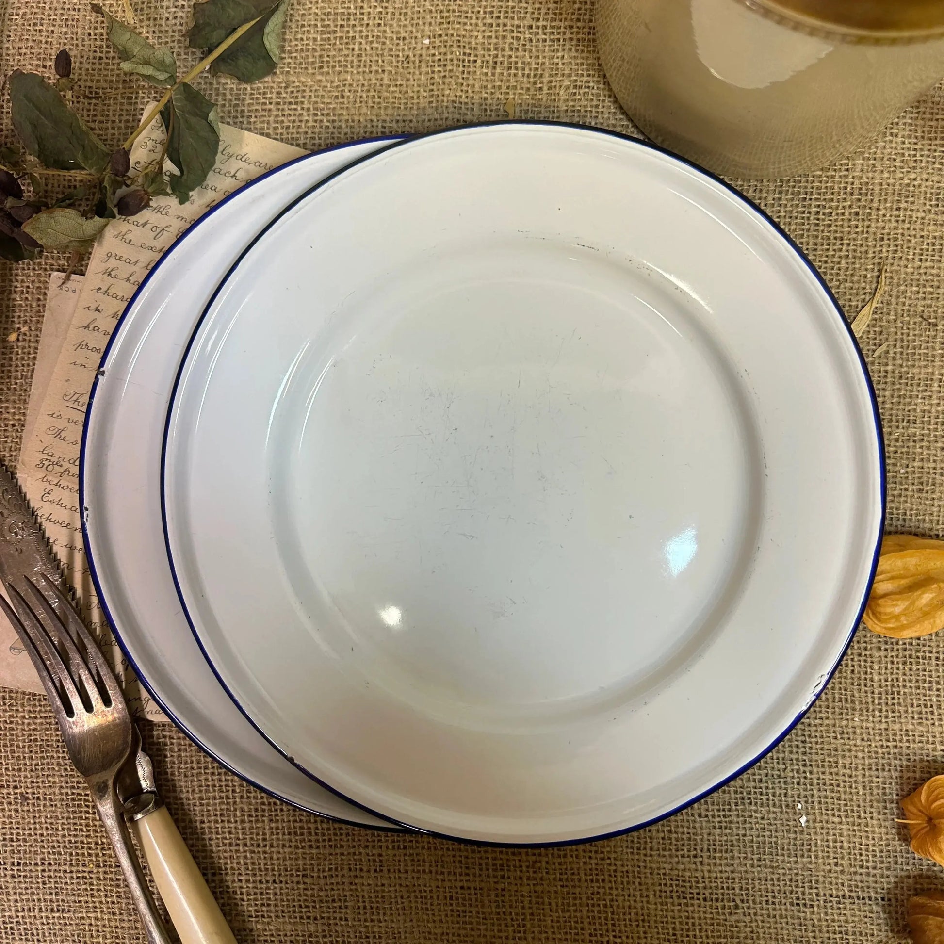 Enamel White & Blue Plates 24cm Pair - The Blind Mole