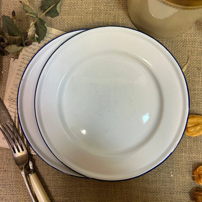 Enamel White & Blue Plates 24cm Pair - The Blind Mole