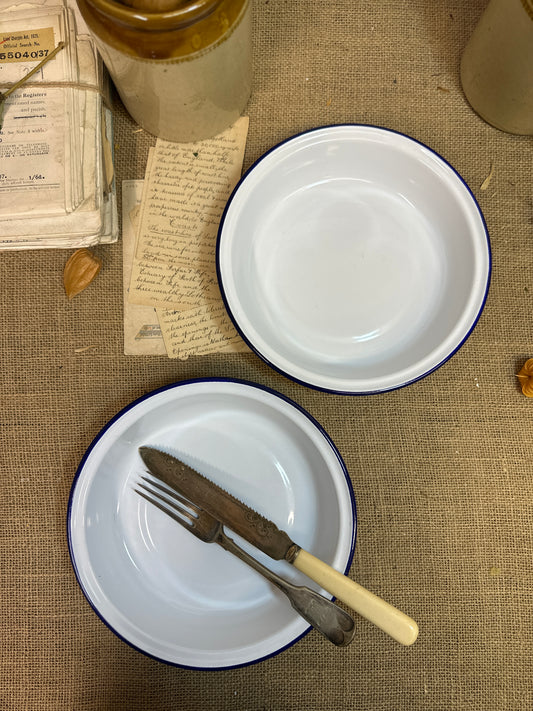 Enamel White & Blue Dishes 22cm Pair