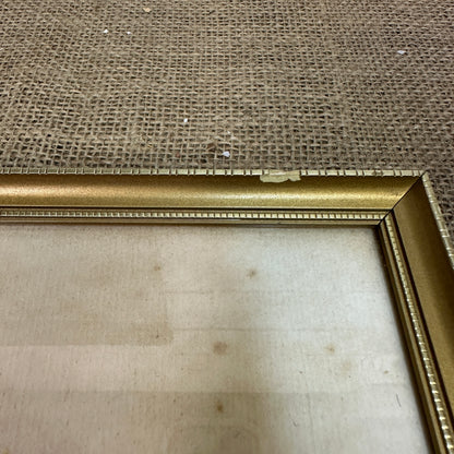 Vintage Still Life Floral, Art Print, Rosa Muscosa Multiplex Pierre Joseph Redoute