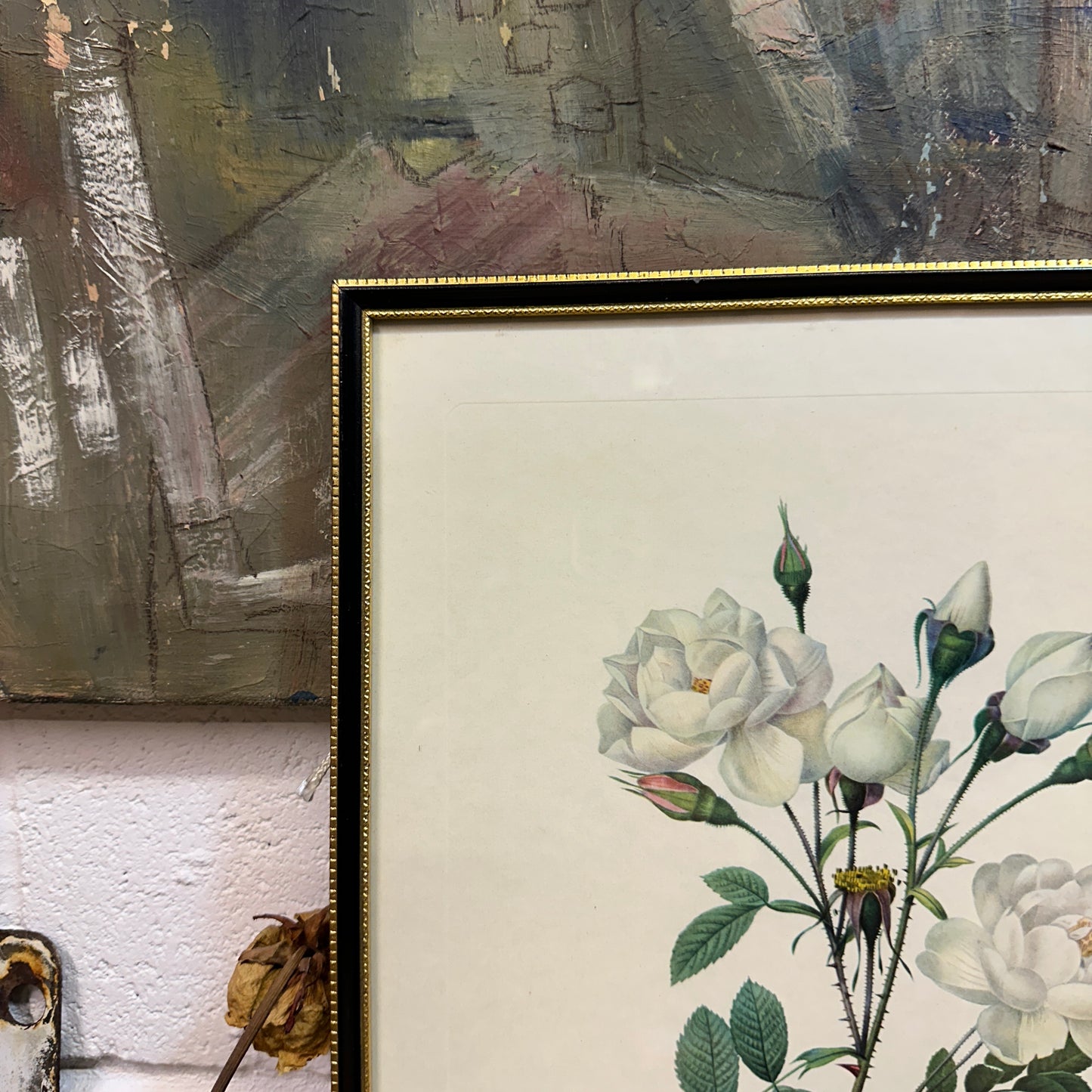 Vintage Still Life Floral, Art Print, Rosa Campanulata Alba Pierre Joseph Redoute