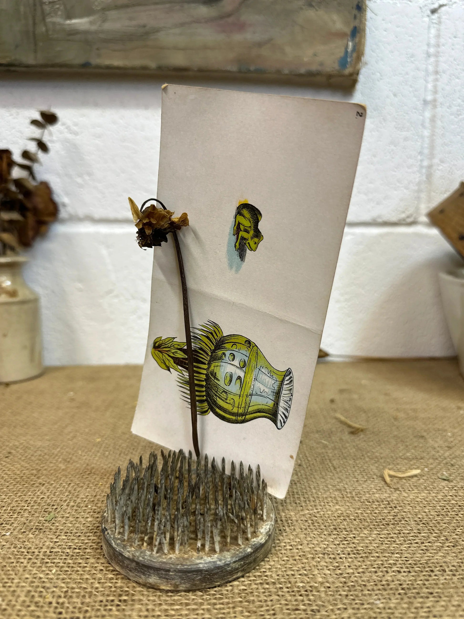 Vintage Flower Lead Frog Picture Card Holder 2nd - The Blind Mole