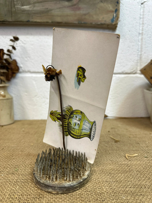 Vintage Flower Lead Frog Picture Card Holder 2nd - The Blind Mole