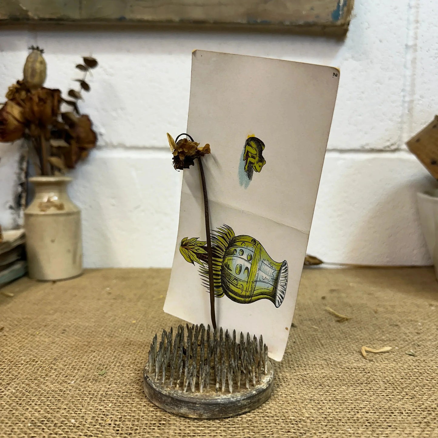 Vintage Flower Lead Frog Picture Card Holder 2nd - The Blind Mole