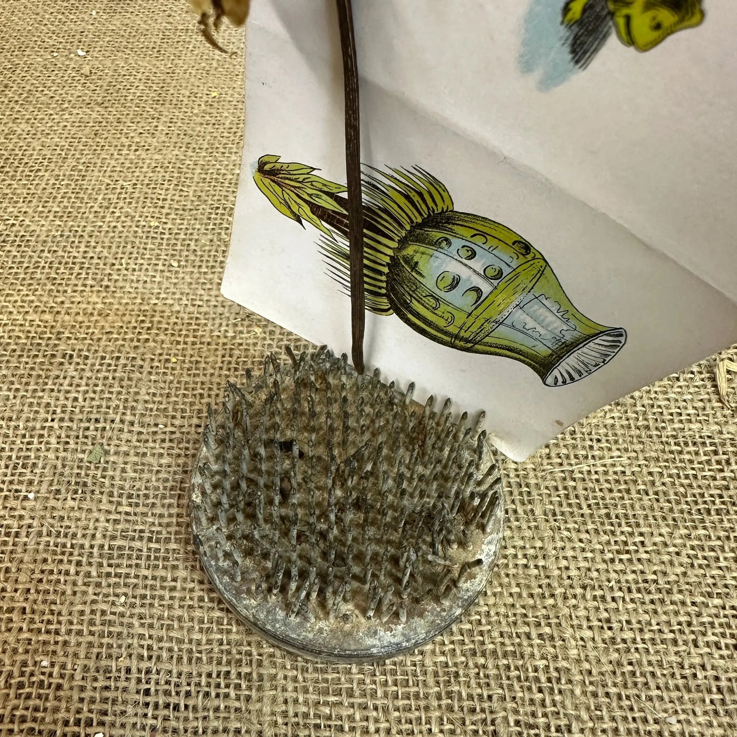 Vintage Flower Lead Frog Picture Card Holder 2nd - The Blind Mole