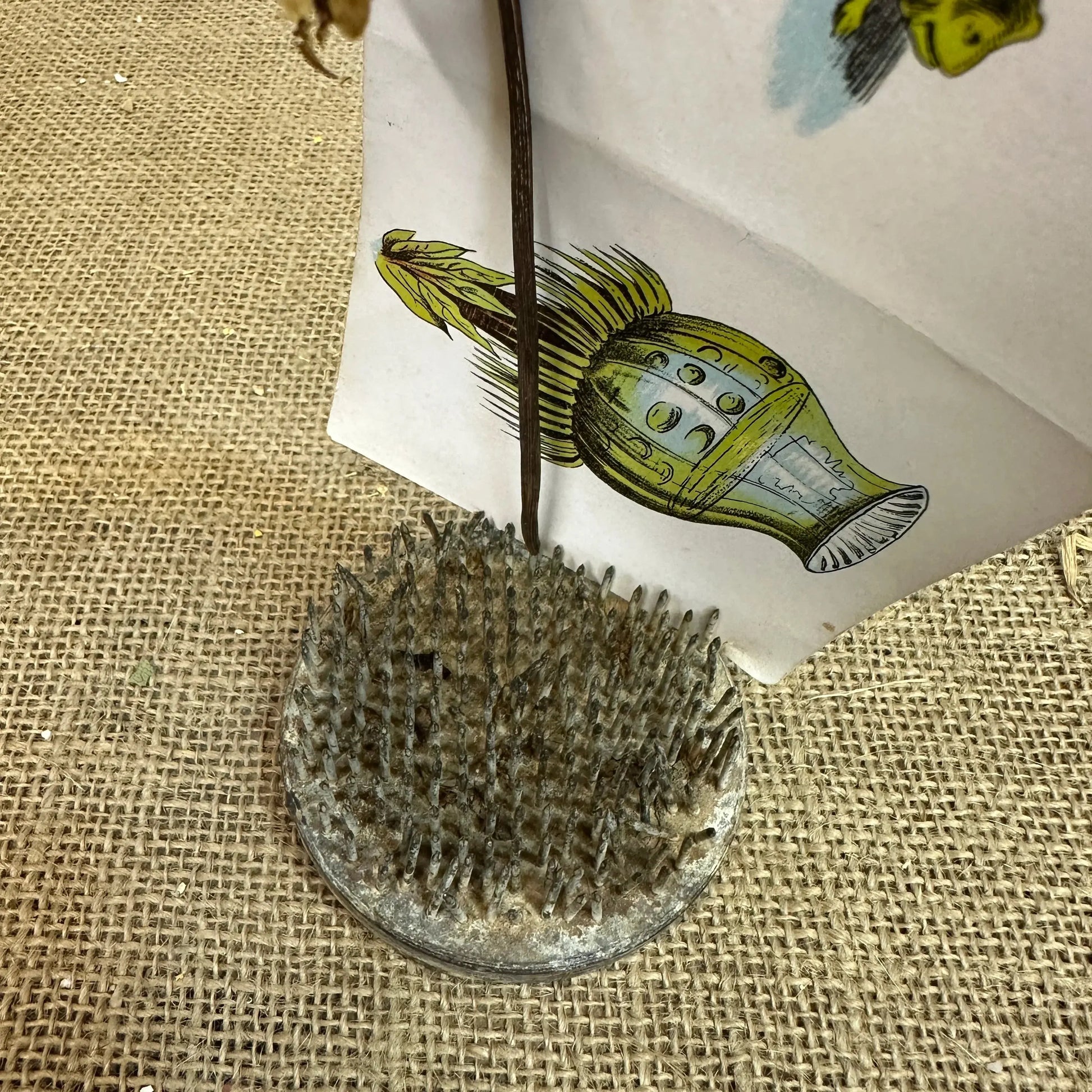 Vintage Flower Lead Frog Picture Card Holder 2nd - The Blind Mole