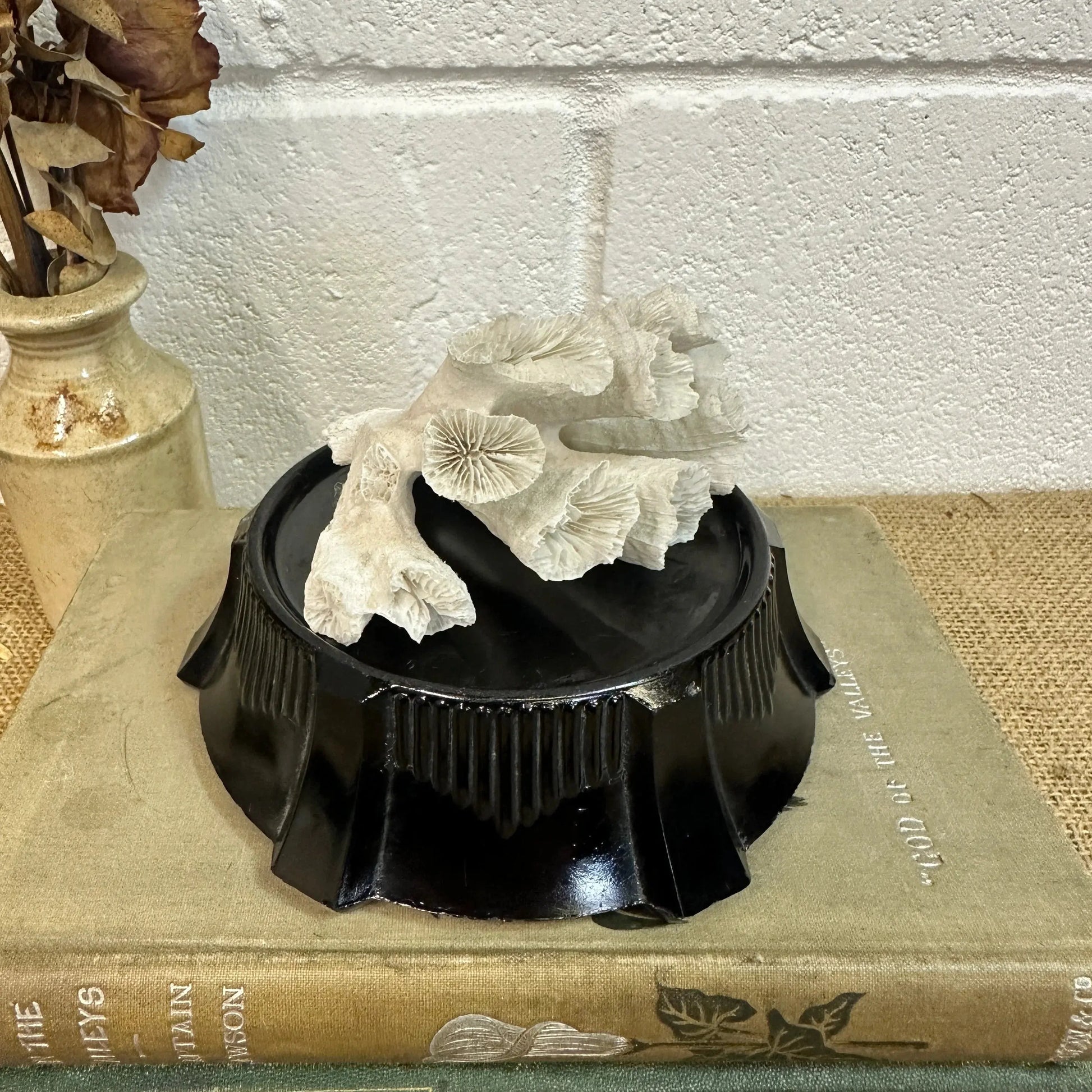 Black Glass Amethyst Art Deco Pedestals - The Blind Mole