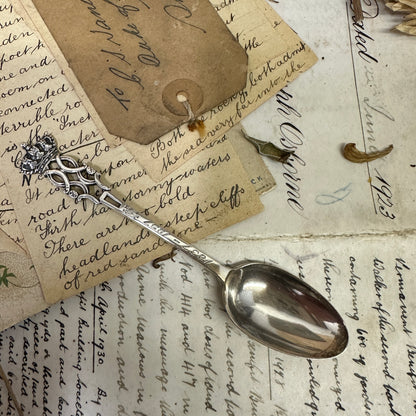 Victorian Sterling Silver Tea Spoon