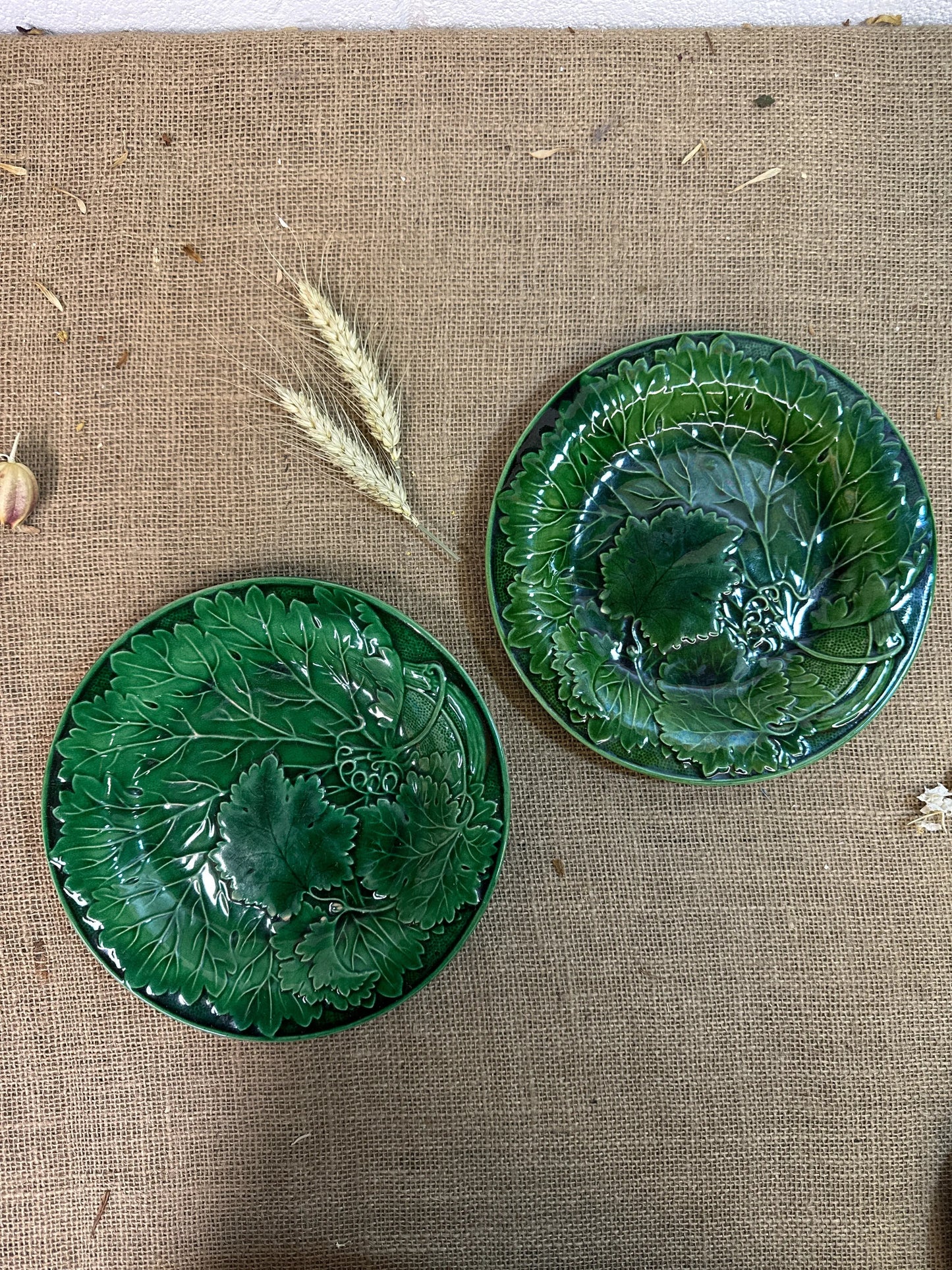 Victorian Vine Leaf Majolica Plates Pair The Blind Mole