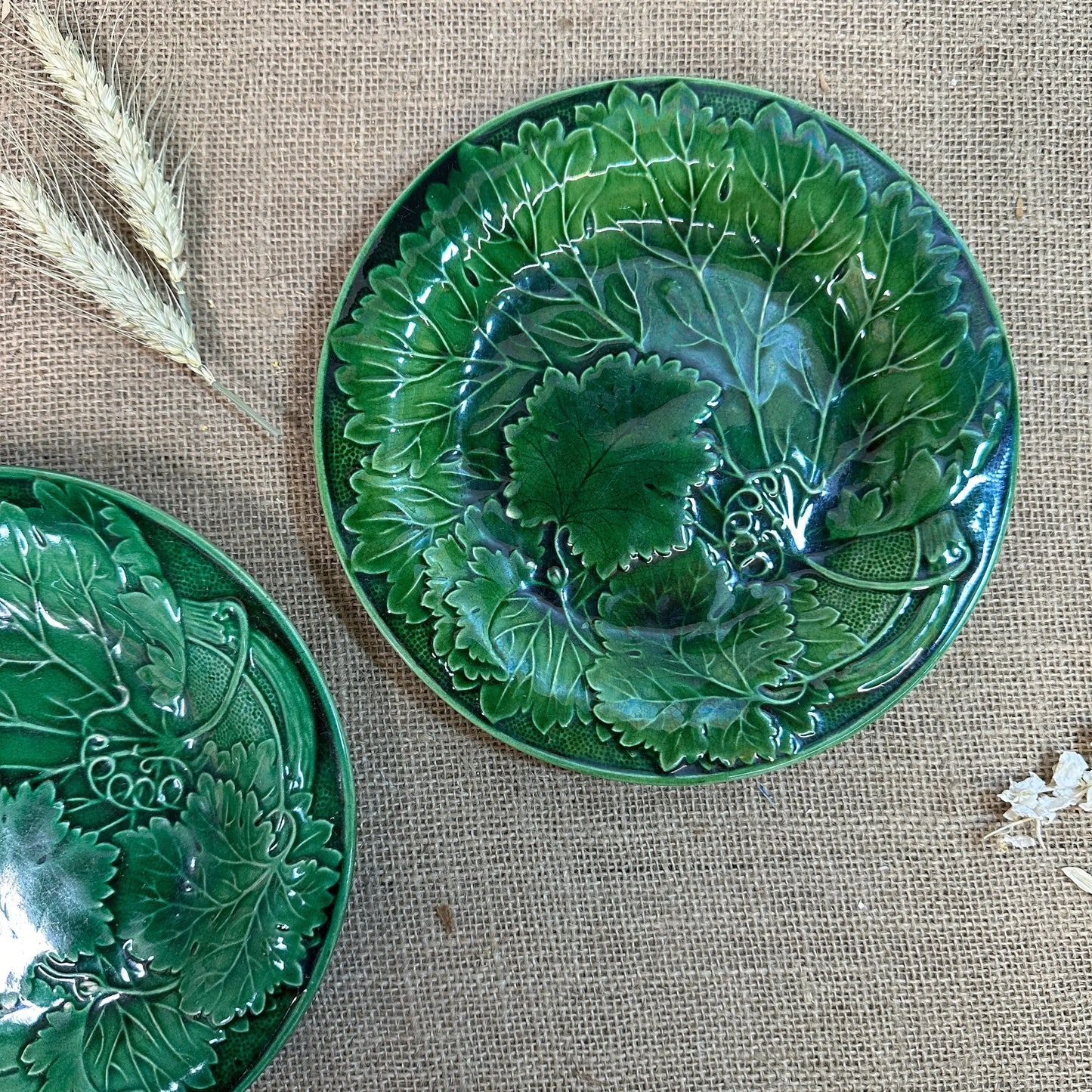 Victorian Vine Leaf Majolica Plates Pair The Blind Mole