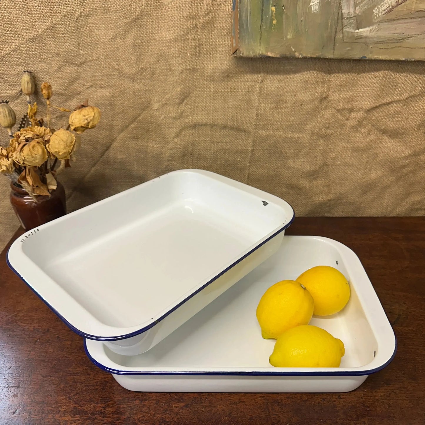 Enamel Roasting Developing Dish Trays The Blind Mole