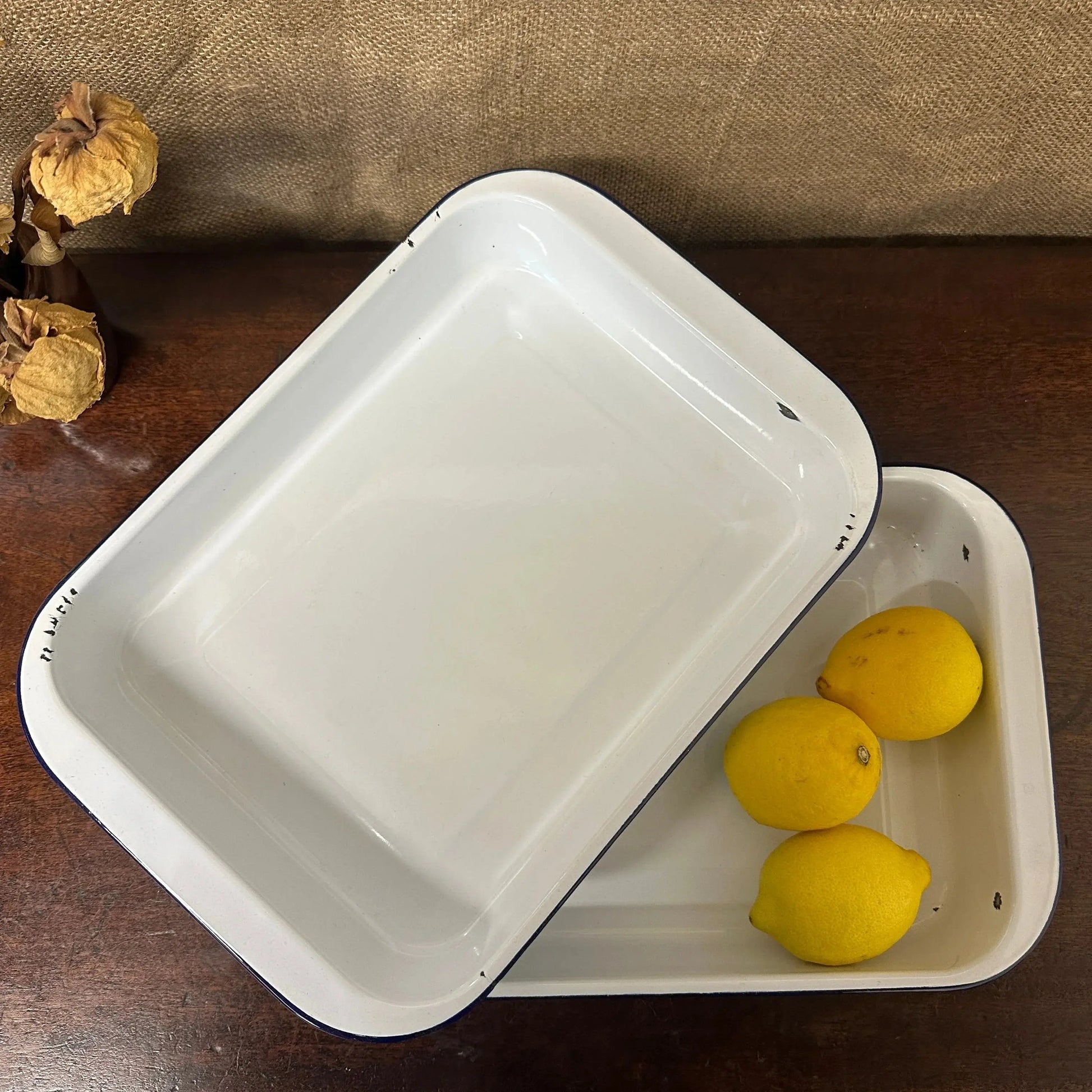 Enamel Roasting Developing Dish Trays The Blind Mole
