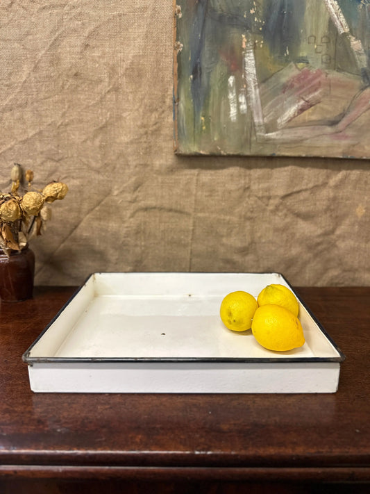 Enamel Roasting Developing Dish Tray The Blind Mole
