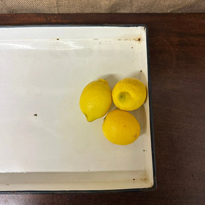 Enamel Roasting Developing Dish Tray The Blind Mole
