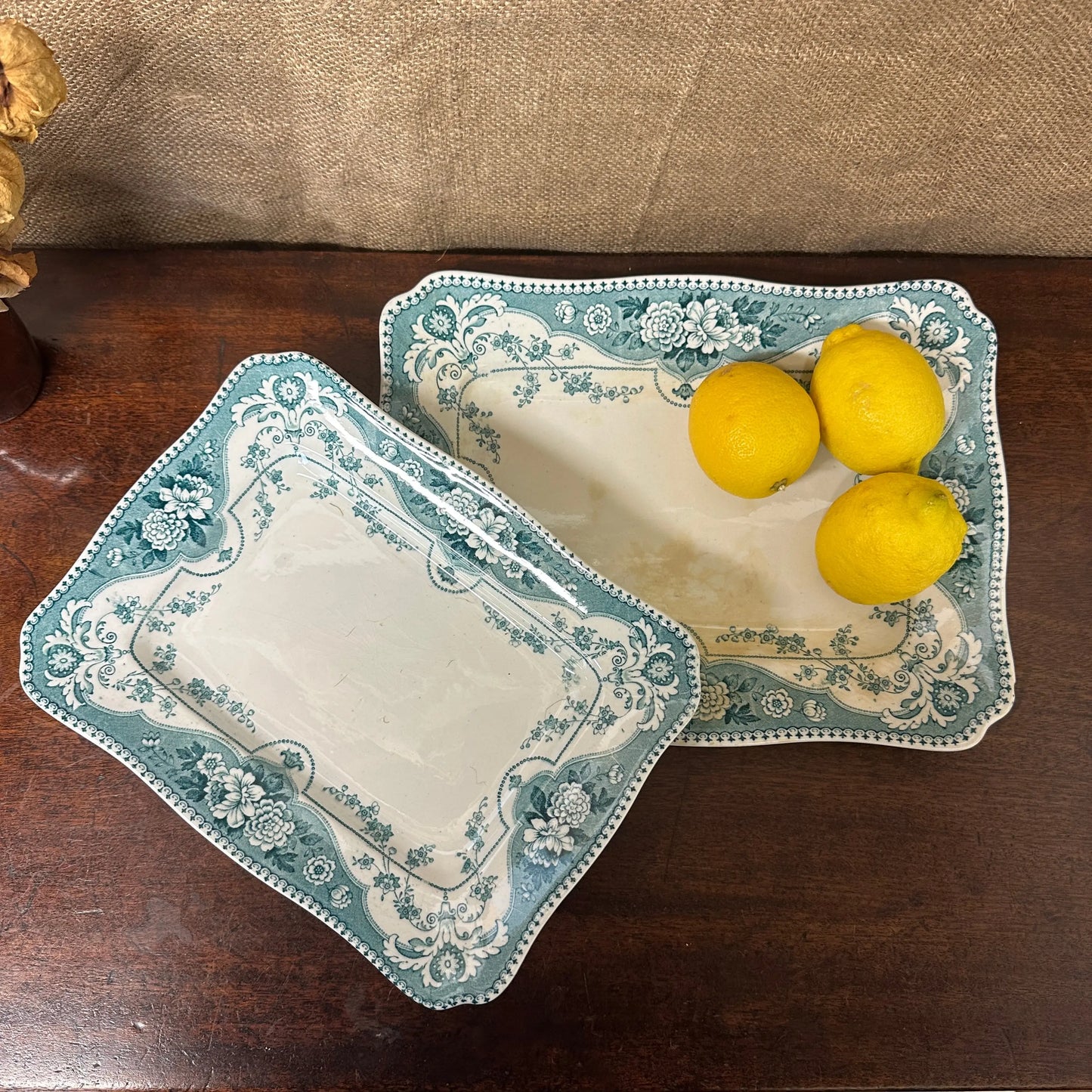 Early Victorian Blue Platters Pair The Blind Mole