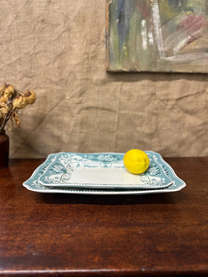 Early Victorian Blue Platters Pair The Blind Mole