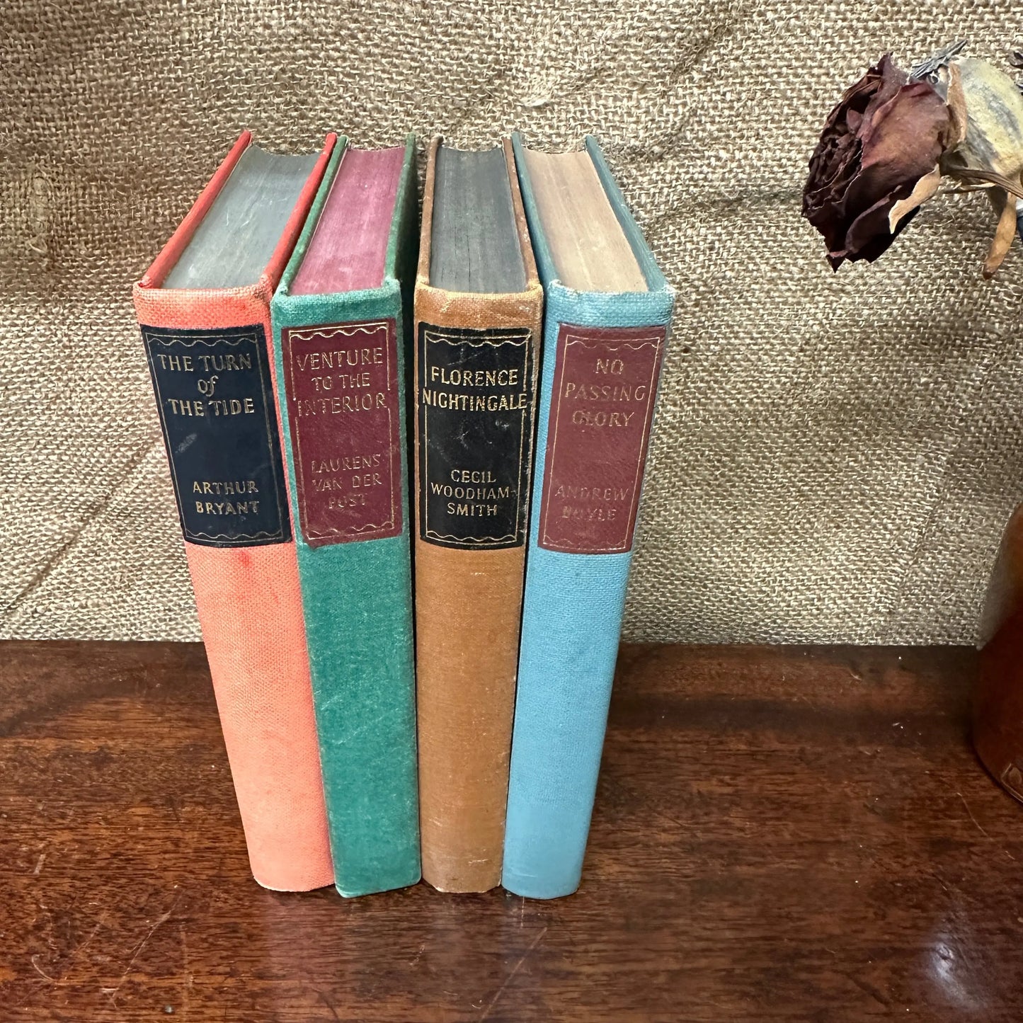 Coloured Book Stacks Multi The Blind Mole