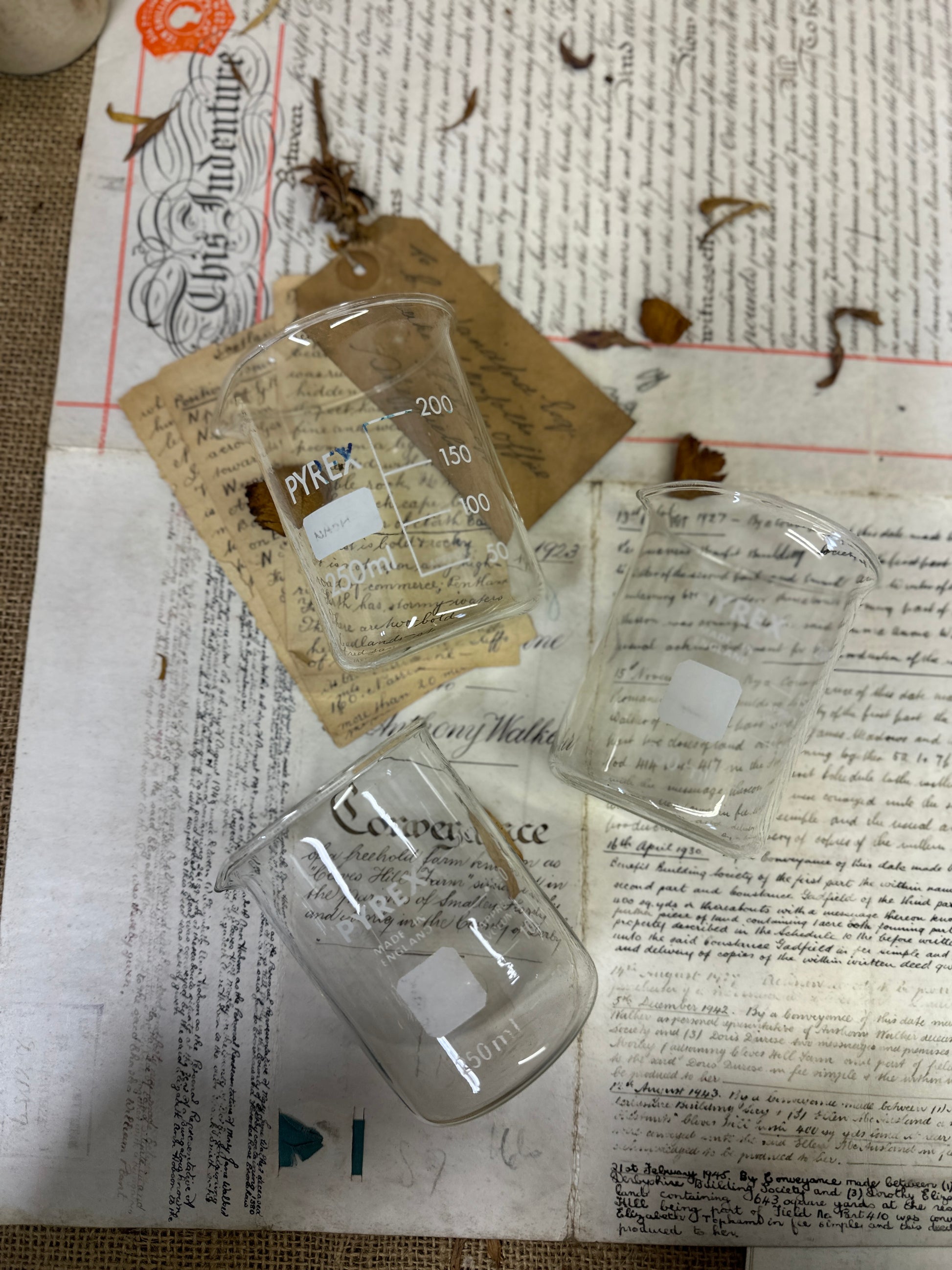 Pyrex 250ML Apothecary Laboratory Beaker - The Blind Mole