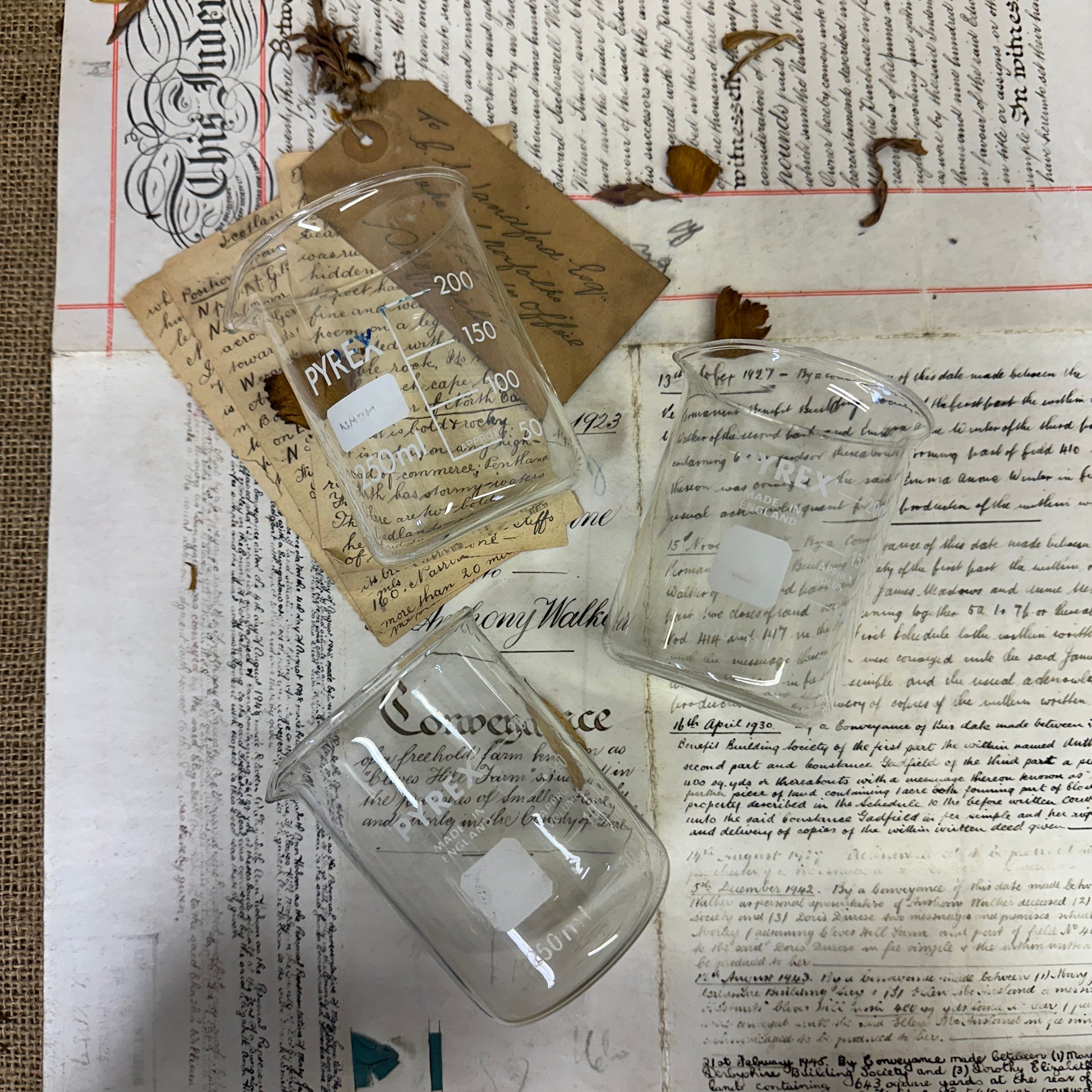 Pyrex 250ML Apothecary Laboratory Beaker - The Blind Mole