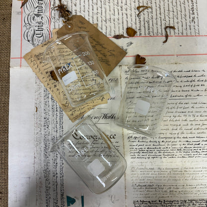 Pyrex 250ML Apothecary Laboratory Beaker - The Blind Mole