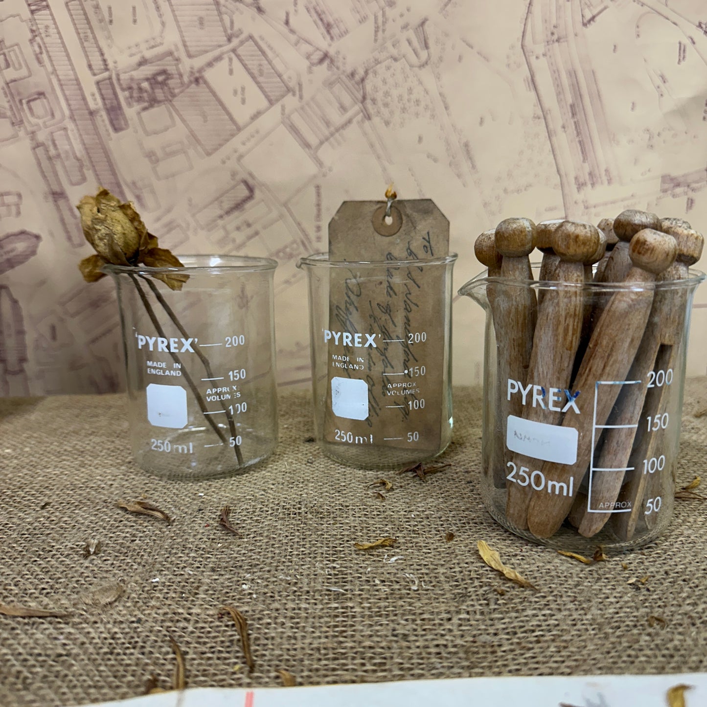 Pyrex 250ML Apothecary Laboratory Beaker - The Blind Mole