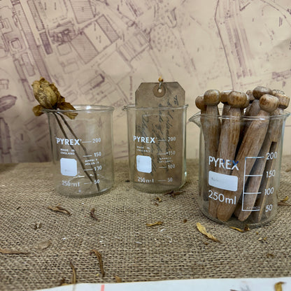 Pyrex 250ML Apothecary Laboratory Beaker - The Blind Mole