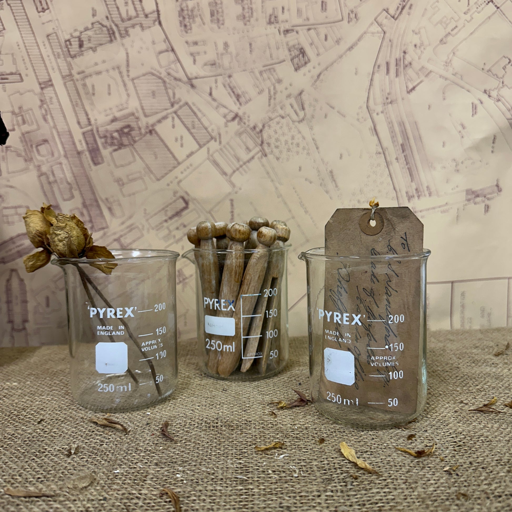 Pyrex 250ML Apothecary Laboratory Beaker - The Blind Mole