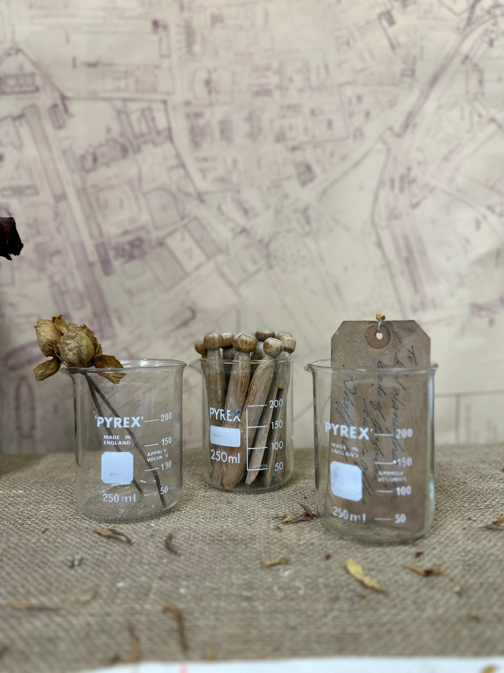 Pyrex 250ML Apothecary Laboratory Beaker - The Blind Mole