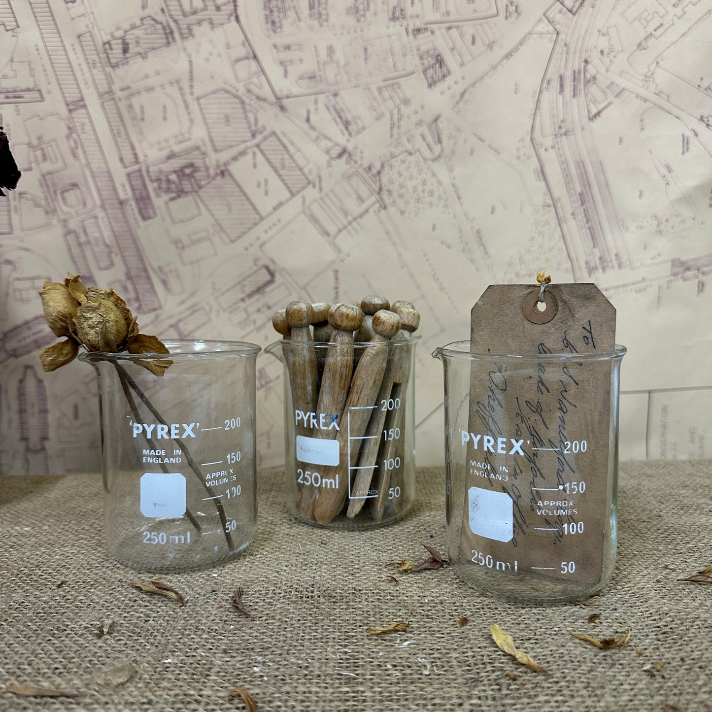 Pyrex 250ML Apothecary Laboratory Beaker - The Blind Mole