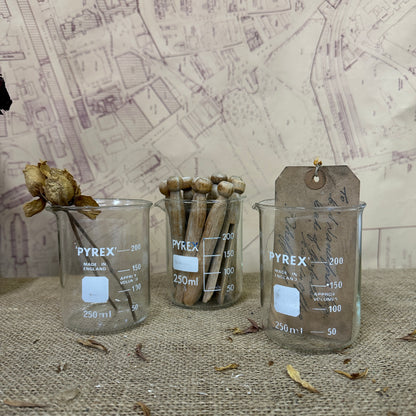 Pyrex 250ML Apothecary Laboratory Beaker - The Blind Mole