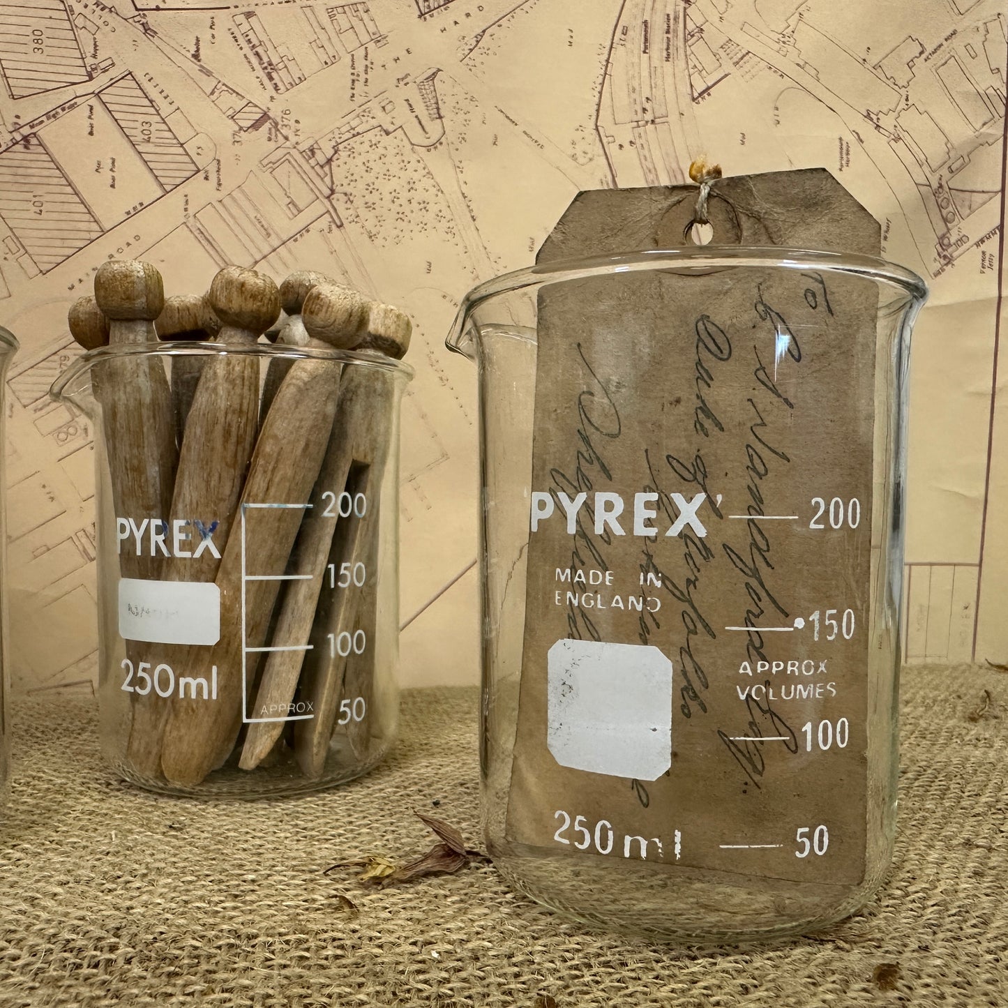 Pyrex 250ML Apothecary Laboratory Beaker - The Blind Mole
